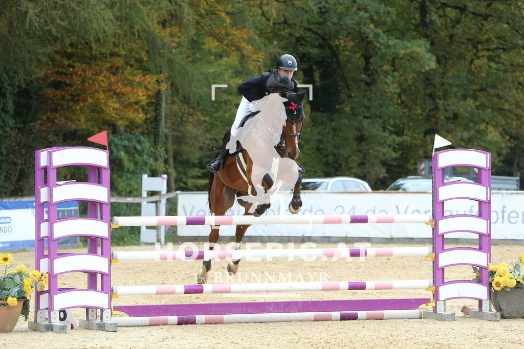 DL2Q7454 | Willkommen bei Brunnmayr - Design & Fotografie – Ihrem Spezialisten für Reitturniere und Pferdeveranstaltungen in Oberösterreich, Salzburg und Bayern! Seit über 17 Jahren sind wir leidenschaftlich dabei.