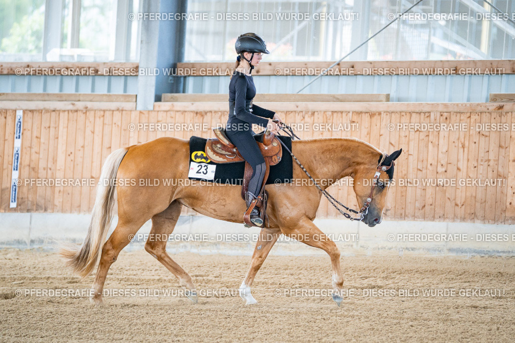 DSC04571 | Pferdegrafie