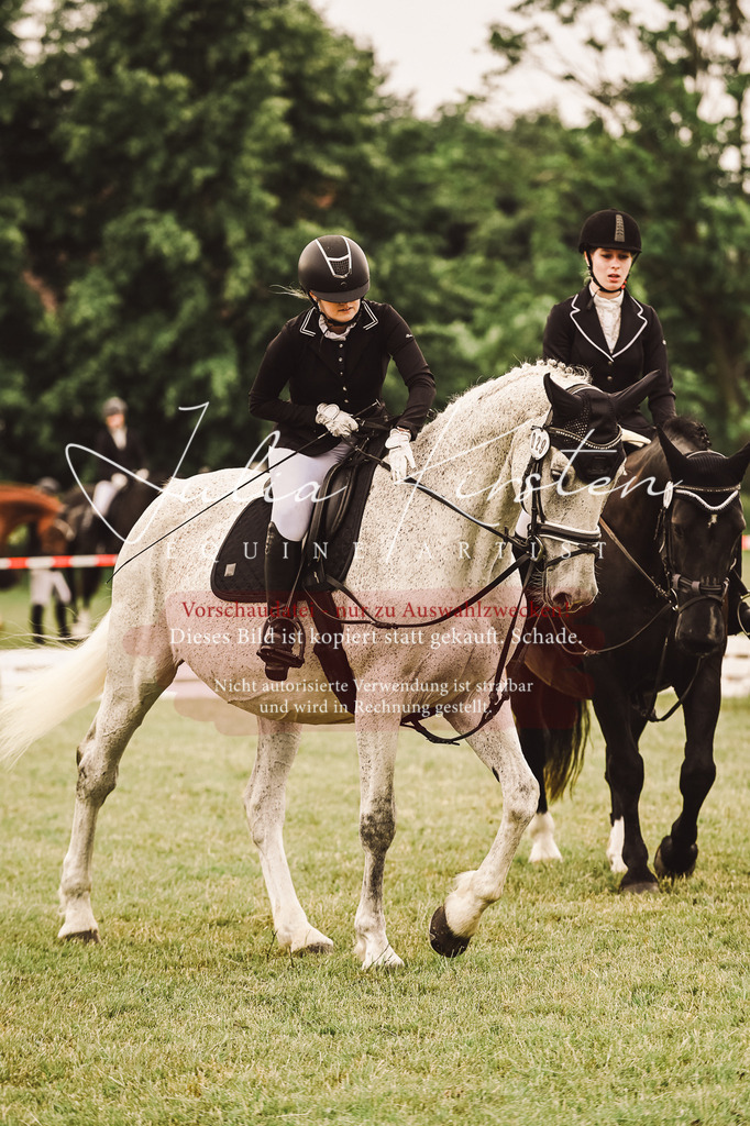 DSC_5030 | Pferde- und Turnierfotografie in Westsachsen. Pferdeportraits, Auftragszeichnungen und intuitive Kunst.