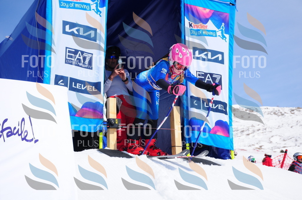 DSC_1295 | holidayphoto