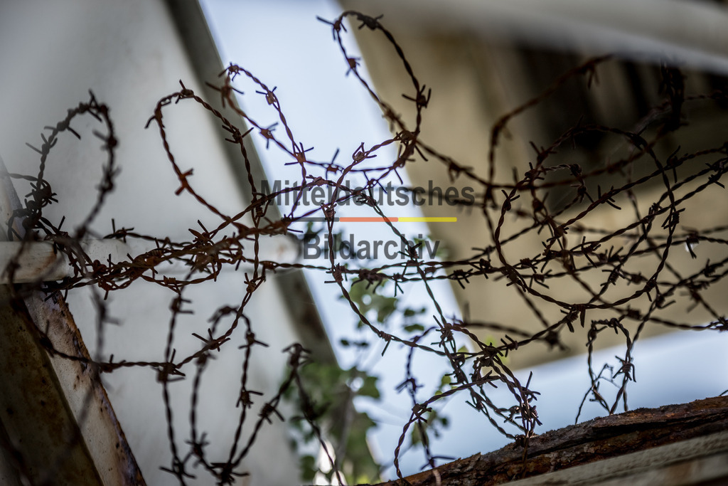 innerdeutsche Grenze Grünes Band Marienborn-7353 | Die innerdeutsche deutsch-deutsche Grenze, das Grüne Band - Realisiert mit Pictrs.com