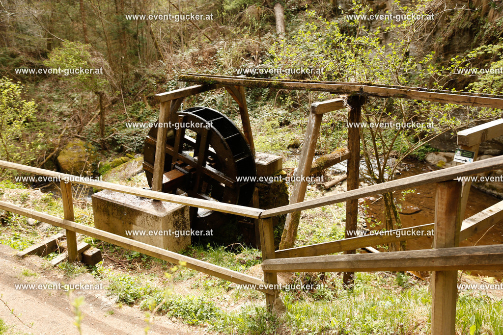 _IPS0224 | Sportfoto event-gucker Herbert Scherer