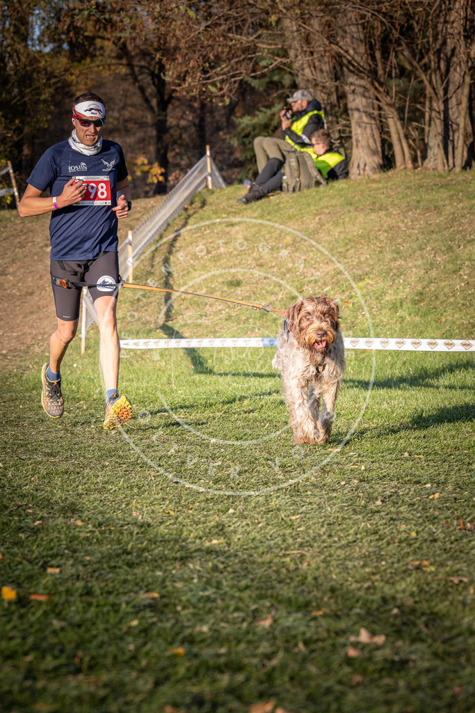 CaniXpix_0L8A0423 | Hundefotografie, Tierfotograf, Pfotenfotografie, Fotoshooting Hund, Hunde Portrait, Hundesport, Hundeportraits, Heideshooting, Hunde, Sportfotograf, Hundefotograf, Turnierhundsport, THS,  - Realisiert mit Pictrs.com