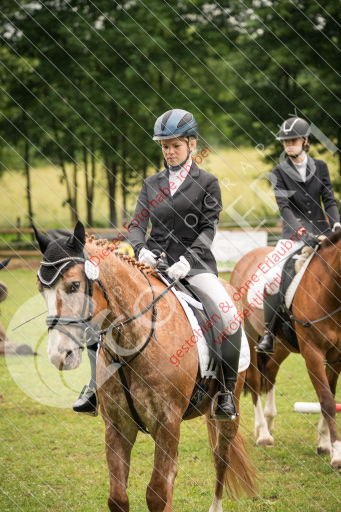 DSC_4742 | Sport-, Event- und Tierfotos in Profiqualität. Einfach auswählen, bestellen und herunterladen. Dein Moment – perfekt festgehalten.