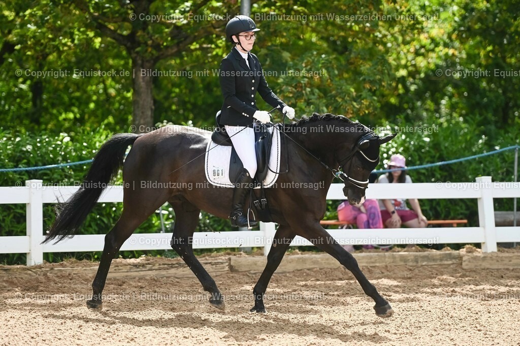 20230715_07_Dressurpferdeprfg. Kl.L_0172 | equistock