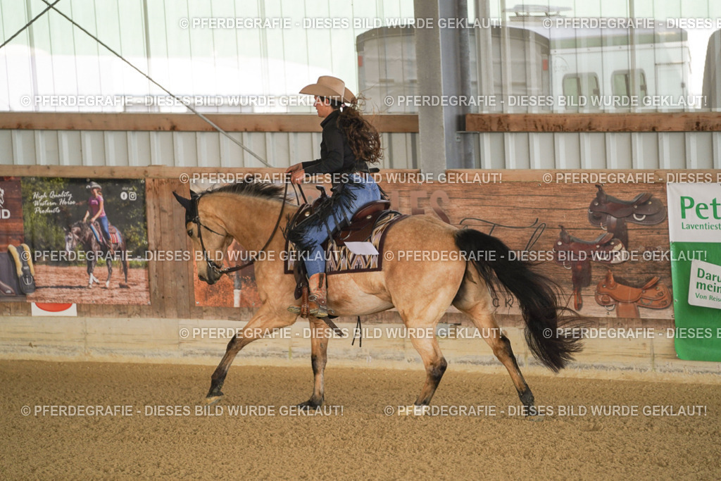 DSC01450 | Pferdegrafie