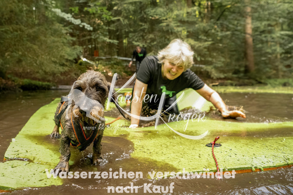 1223_ZZ94321-Bearbeitet | kk-dogfotos
