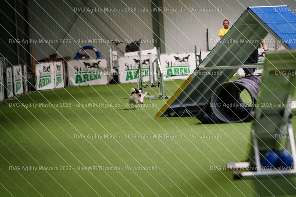 allesWIRTHgut_Tierfotografie-DVG_Agility_Masters_2026-13_58-7R500339 | Professionelle Tierfotografie in Mönchengladbach von Daniel Wirth (allesWIRTHgut). Liebevolle & natürliche Bilder von Hunden & Katzen für unvergessliche Erinnerungen.
