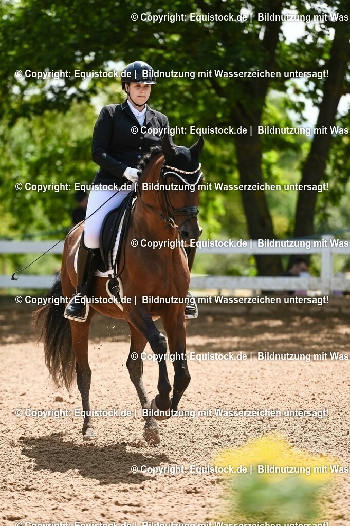 20230716_03_Dressurprfg. Kl.L - Tr._0120 | equistock