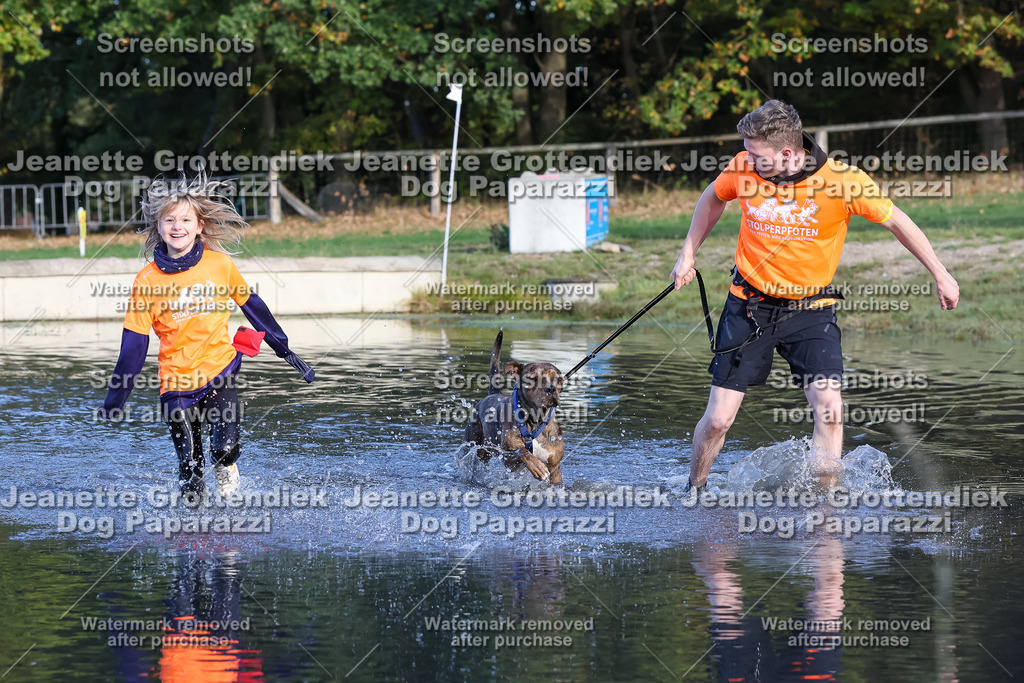 Dog Paparazzi - Strongdog 10-25-8573 | Dog Paparazzi Jeanette Grottendiek Fotografie & Videografie - Realisiert mit Pictrs.com