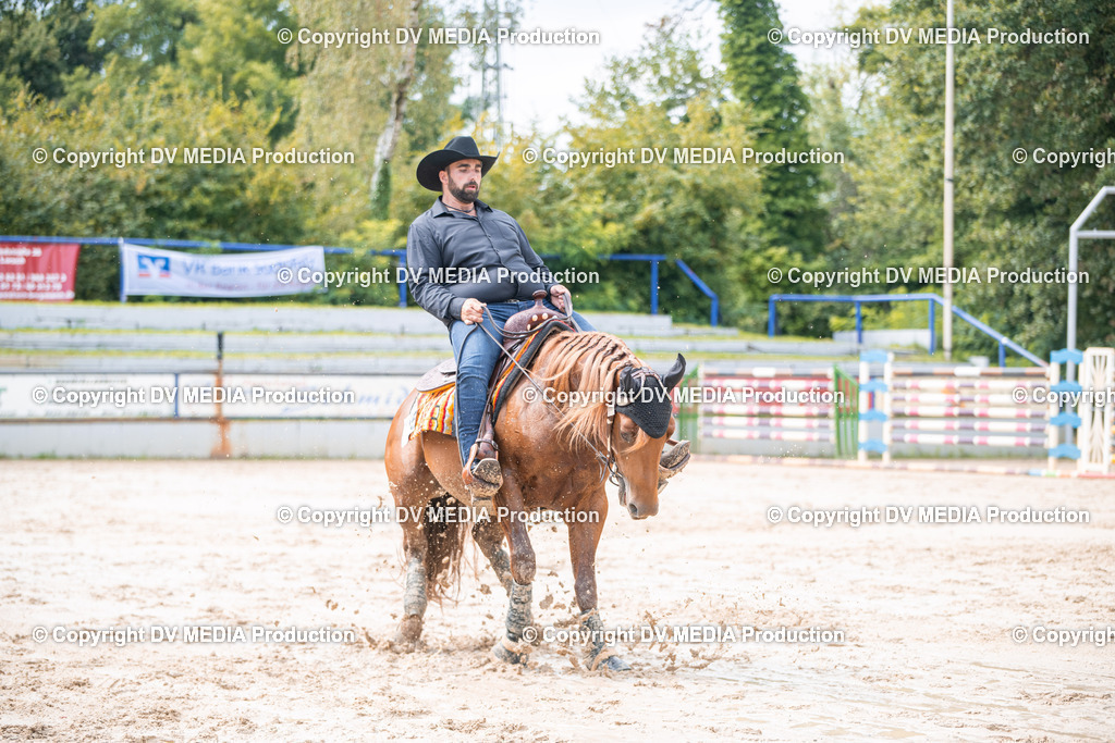 ZS2_4049 | dv-media-shop - Realisiert mit Pictrs.com