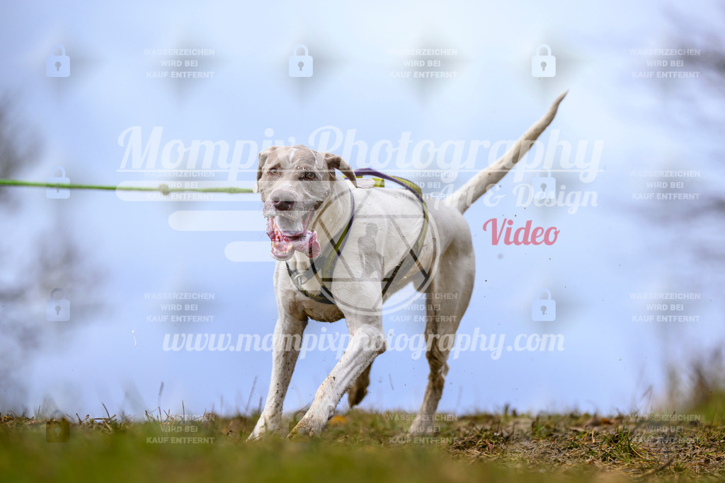 MompixPhotography_2OATB_SO_Run-11 | PayLife