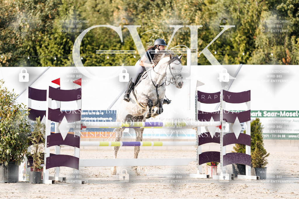 CK903389 | Turnierfotografie Pferdefotografie Trier Rheinland-Pfalz Pferdesport Reitsport Tierfotografie Sportfotografie Pferdevideo Pferdevideografie Equestrianvideography equestrianphotography  - Realisiert mit Pictrs.com