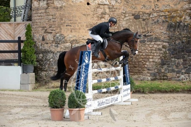 2B4A1172 | pixelfaenger - Realisiert mit Pictrs.com