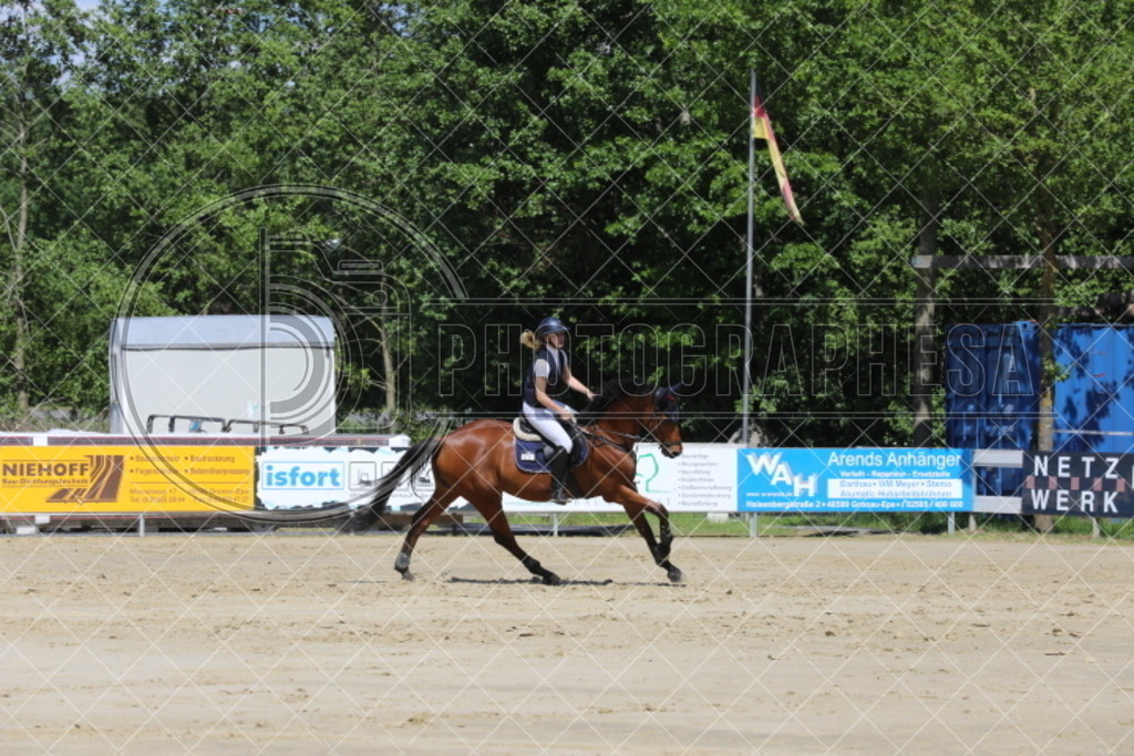 IMG_5204 | photographesa-joergens - Realisiert mit Pictrs.com