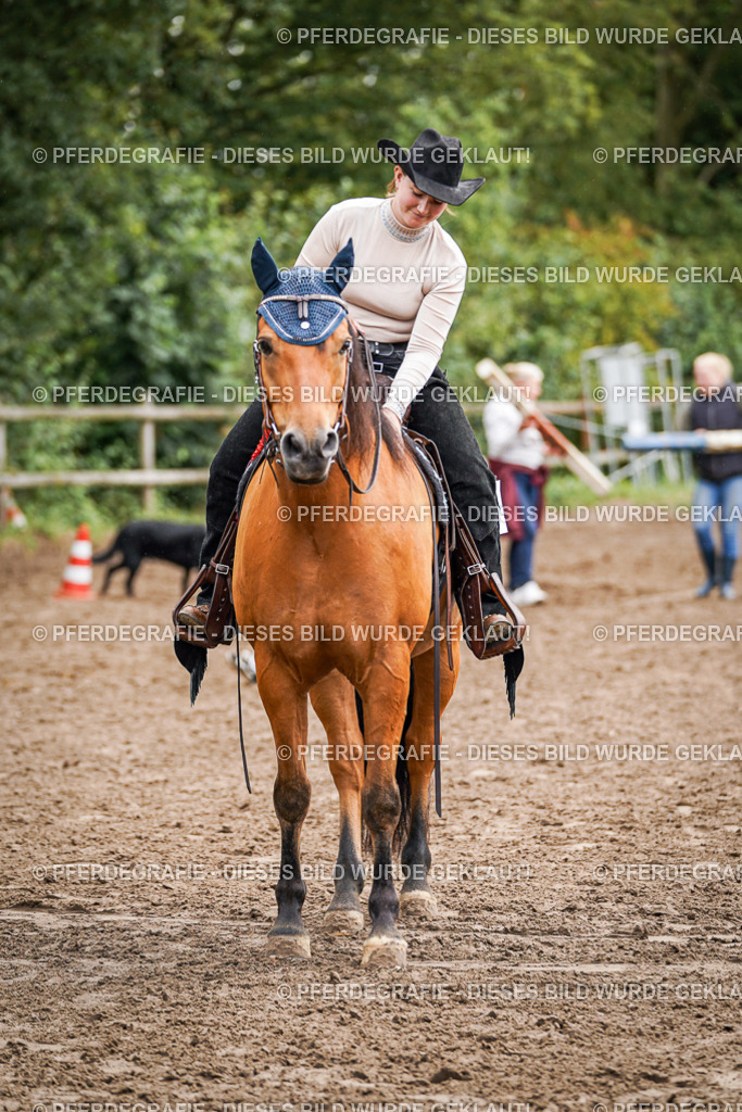 DSC04579 | Pferdegrafie