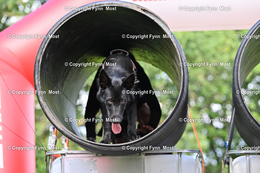 DSC_4180 | Hallo und herzlich Willkommen auf meiner Shop-Seite Fynn Most.

Ich wünsche Dir viel Spaß beim stöbern durch die Bilder, wenn Du Fragen hast oder Bilder vermisst, kannst du mir gerne eine Nachricht schreiben. - Realisiert mit Pictrs.com