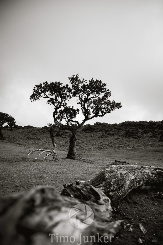 Shop_Landscapes-1842 | junker-foto - Realisiert mit Pictrs.com