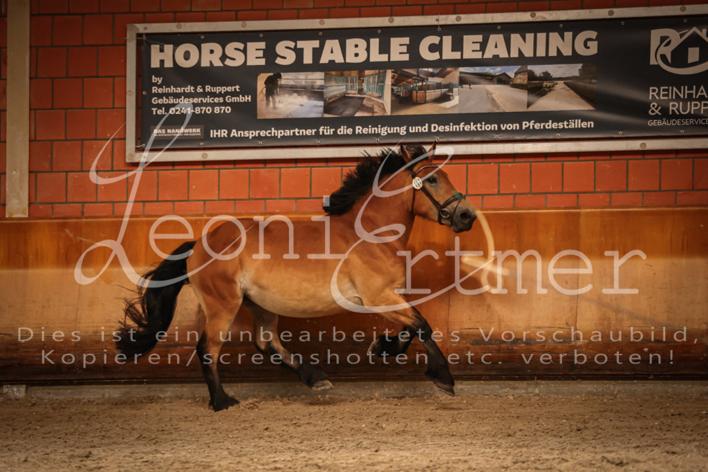 SaFL00301 | Leoni Ertmer Photography - Realisiert mit Pictrs.com