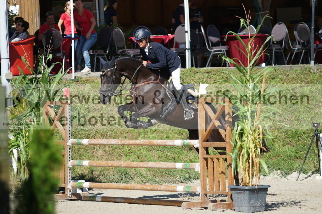 DSC02390 | equestrian-live-com