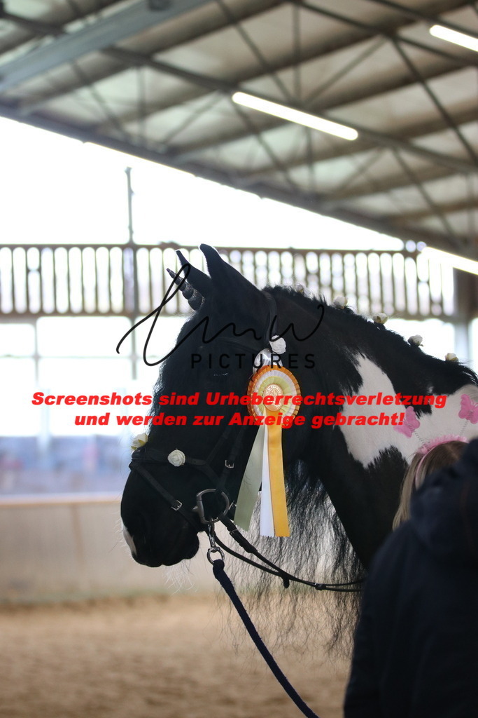 IMG_0345 | lmwpictures - Realisiert mit Pictrs.com