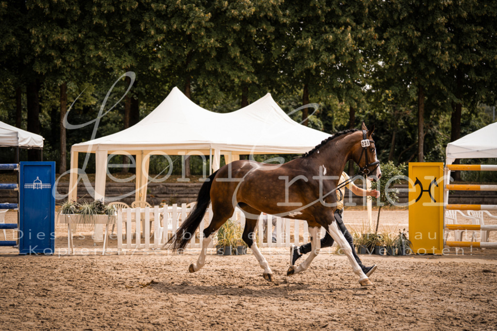 3.Fr00184 | Leoni Ertmer Photography - Realisiert mit Pictrs.com