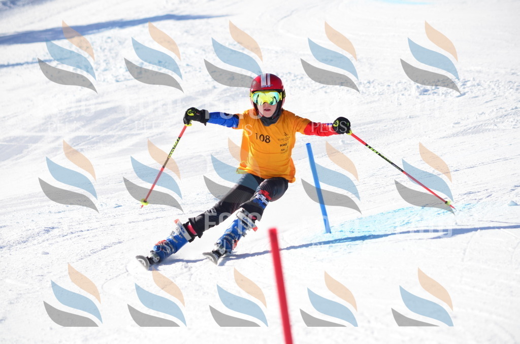 C6255 | holidayphoto