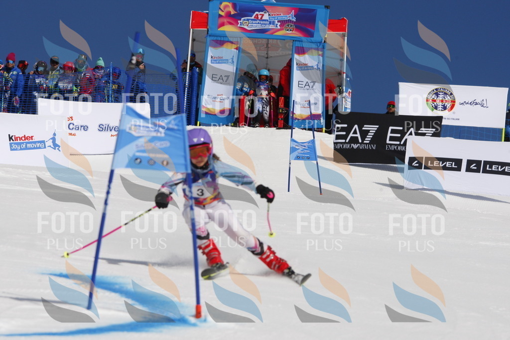 _W1G0025 | holidayphoto