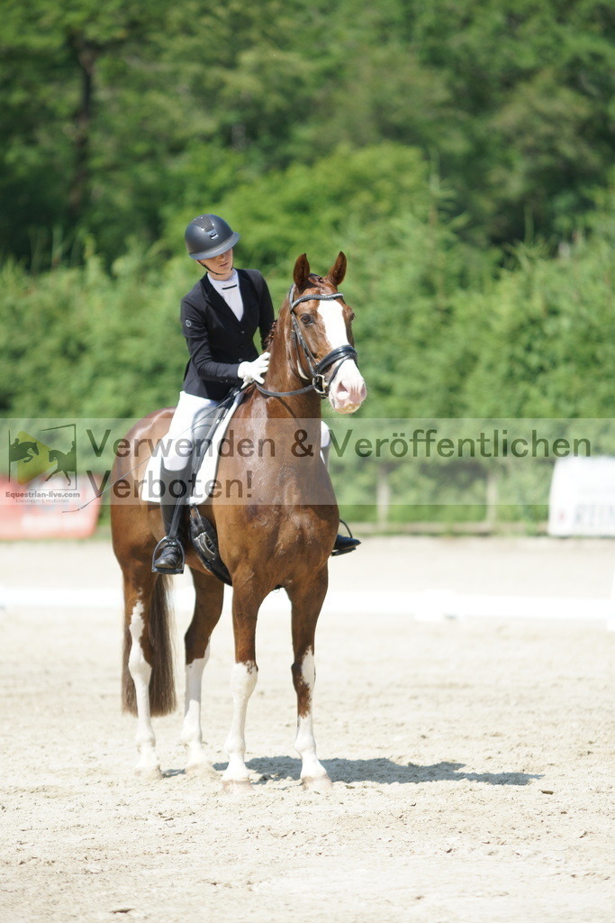 DSC01649 | equestrian-live-com