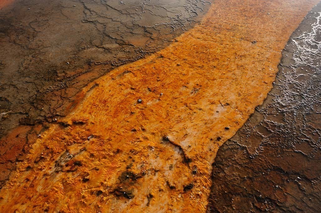 usa-2014-469 | Die Farben der Thermalquelle Grand Prismatic Spring stammen von einzelligen Mikroorganismen im Biofilm an den Randbereichen, hier in einer Nahaufnahme. - Realisiert mit Pictrs.com