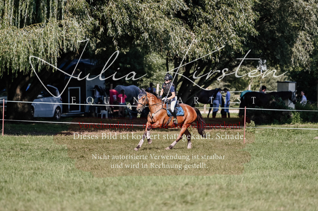 DSC_3377 | Pferde- und Turnierfotografie in Westsachsen. Pferdeportraits, Auftragszeichnungen und intuitive Kunst.