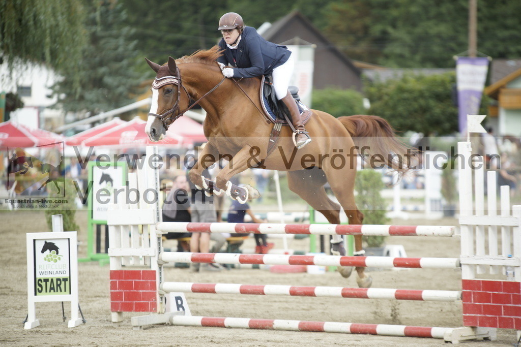 _DSC4448 | equestrian-live-com