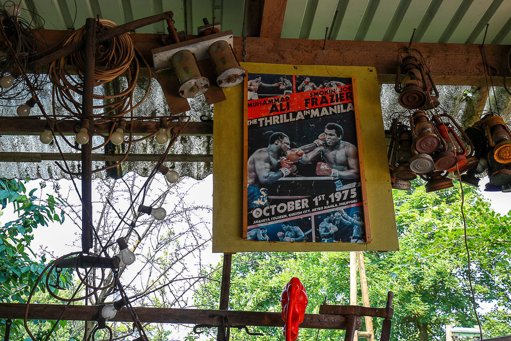 VillerMuehle_09062025_104 | Bildergalerie von Sport-Ereignissen aber auch von weiteren spannenden Dingen - nicht nur vom Niederrhein. In Anlehnung an den bekannten Spruch von Hanns Dieter Hüsch heißt das Motto: "Niederrhein ist überall".  - Realisiert mit Pictrs.com