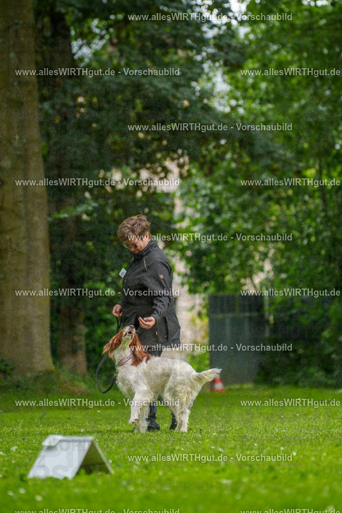@allesWIRTHgut_Tierfotografie - www.allesWIRTHgut.de - 131321-7R509909 | Professionelle Tierfotografie in Mönchengladbach von Daniel Wirth (allesWIRTHgut). Liebevolle & natürliche Bilder von Hunden & Katzen für unvergessliche Erinnerungen.