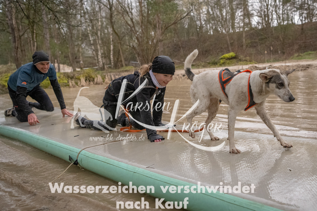 1059_ZZ94005-Bearbeitet | kk-dogfotos