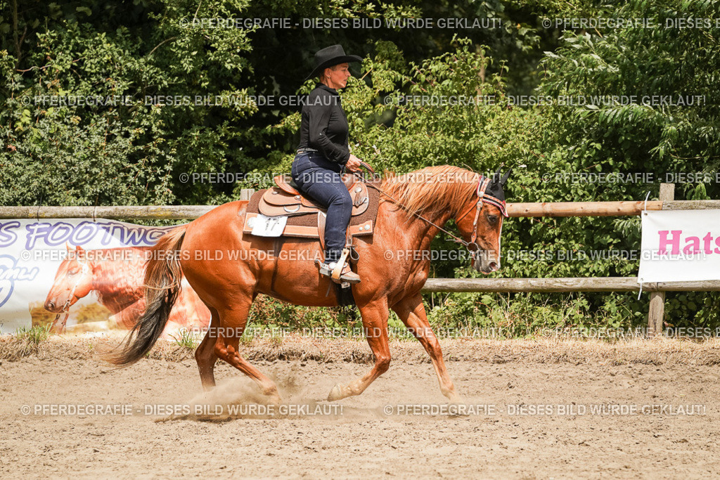 DSC00601 | Pferdegrafie