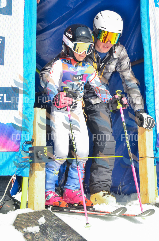 _ELE6019 | holidayphoto