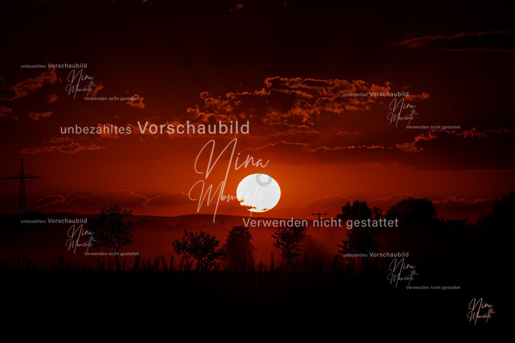 _16A3496-1 | Einzigartige Fotos von Hunden & Menschen –Actionfotos, Portraits, Vereinsaufnahmen & Paarshootings – authentisch, lebendig & mit Herz.