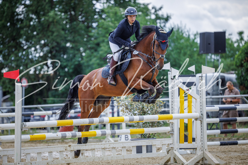 20260705-_3LI5931 | Tierfotografie Pferde, Hunde, Katzen, Haustiere.
Turnierfotografie Reitturniere, Reiten, Springreiten, Dressur in Hanau, dem Main-Kinzig-Kreis und dem Rhein-Main- Gebiet um Frankfurt