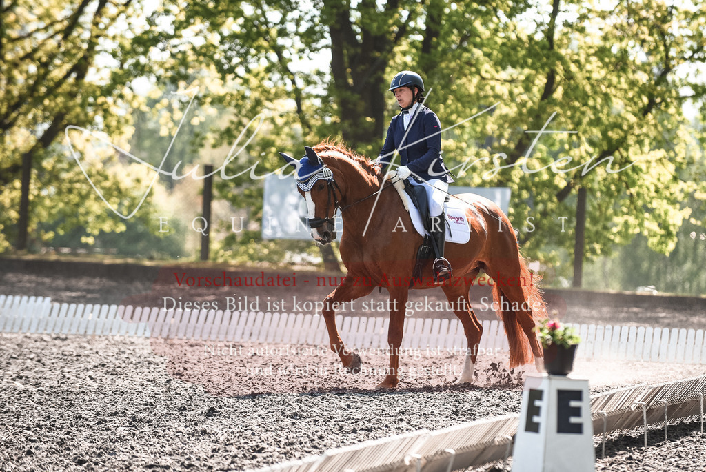 DSC_8868 | Pferde- und Turnierfotografie in Westsachsen. Pferdeportraits, Auftragszeichnungen und intuitive Kunst.