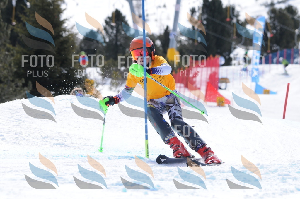 C9447 | holidayphoto