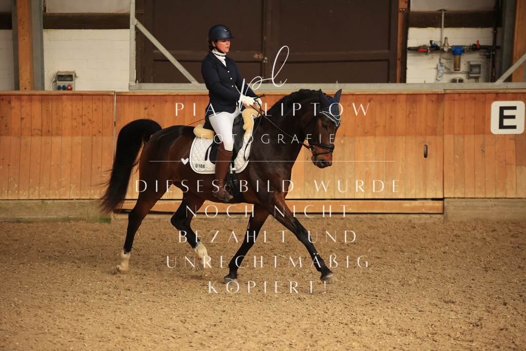 IMGT4847 | pl-fotografie