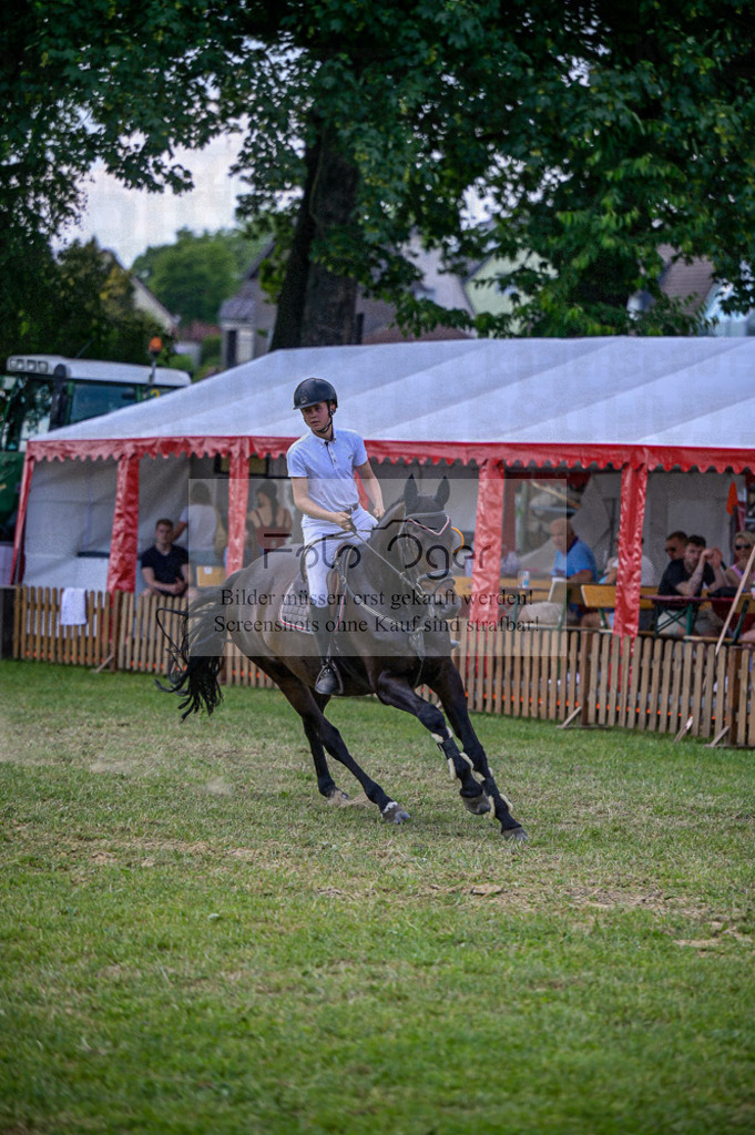 Reitturnier Voxtrup | Entdecke hochwertige Reitturnierfotos von Foto Oger. Professionell, emotional und authentisch – jetzt Lieblingsmomente im Shop bestellen.Deutschlandweite Turnierfotografie. - Realisiert mit Pictrs.com