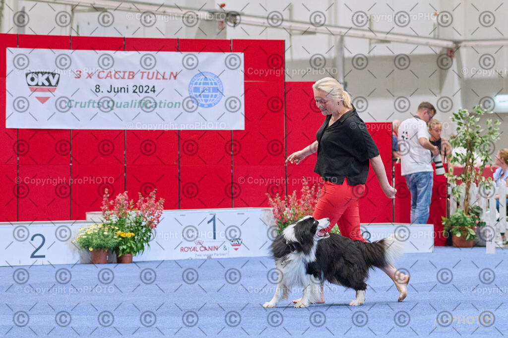 202406_ÖKV-IHA-Tulln24_DSC_4307 | proPHOTO - Realisiert mit Pictrs.com