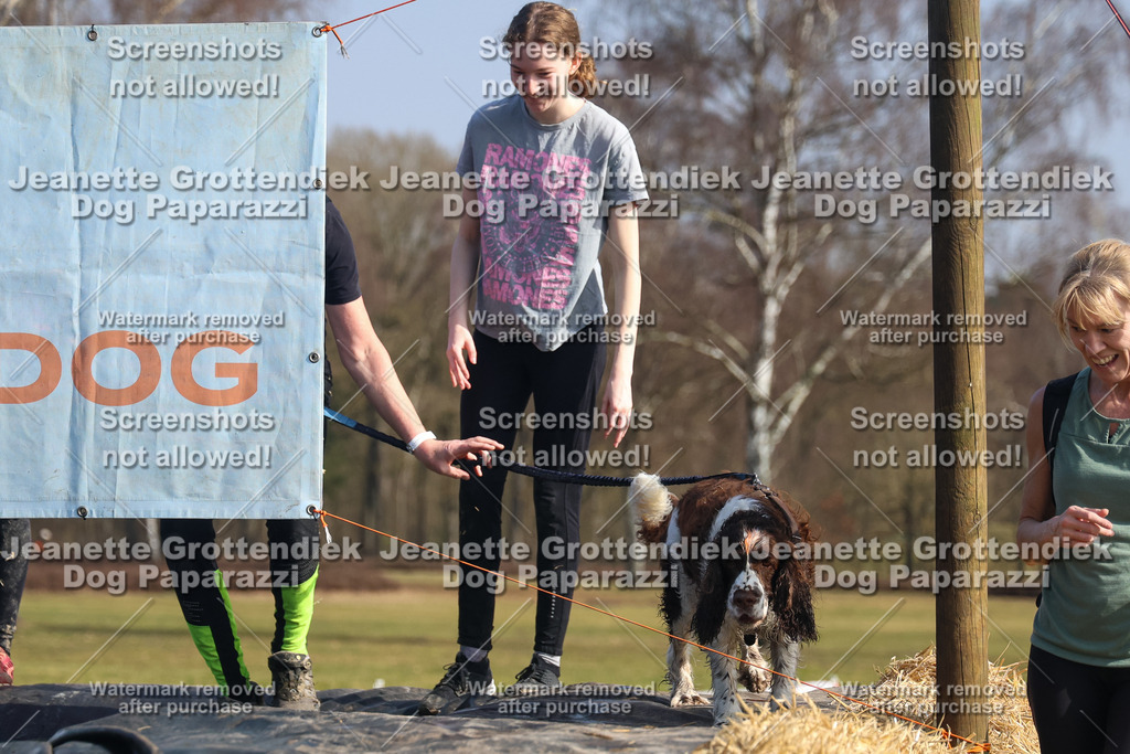 Dog Paparazzi - Strongdog North Mrz26-2589 | Dog Paparazzi Jeanette Grottendiek Fotografie & Videografie - Realisiert mit Pictrs.com