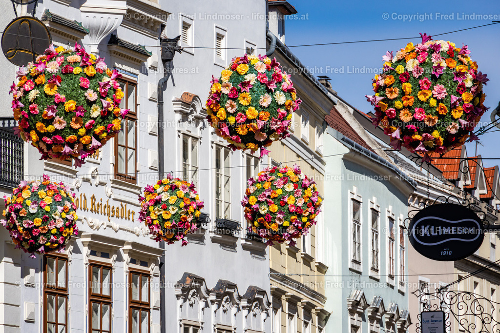 Krems an der Donau-5752 | Fotos und Fotoprodukte - Realisiert mit Pictrs.com