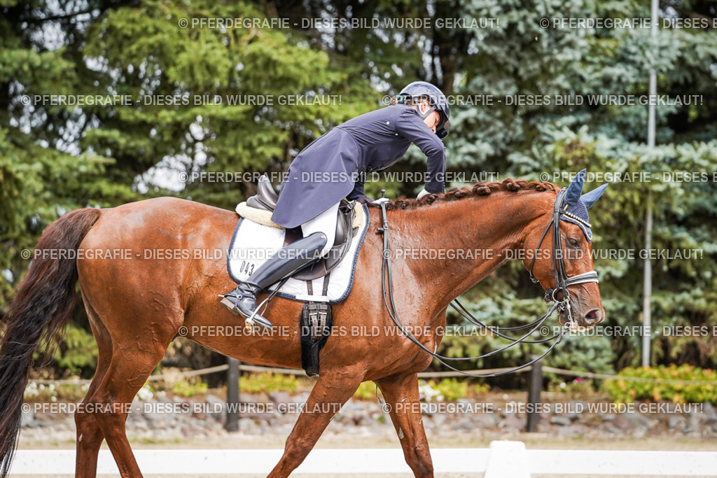 DSC05980 | Pferdegrafie