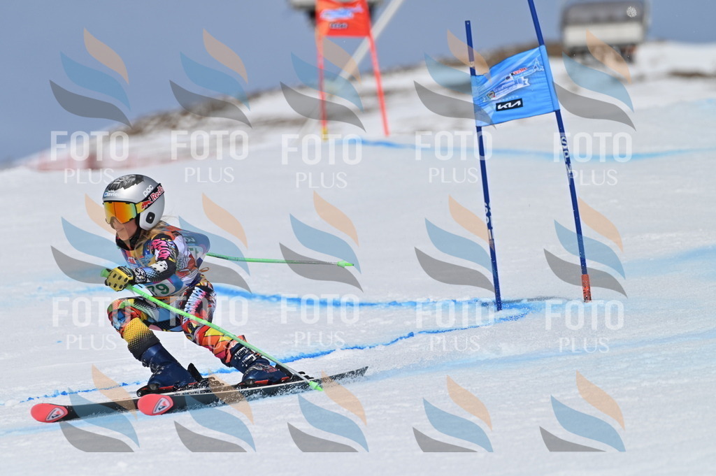 BGV_3524 | holidayphoto