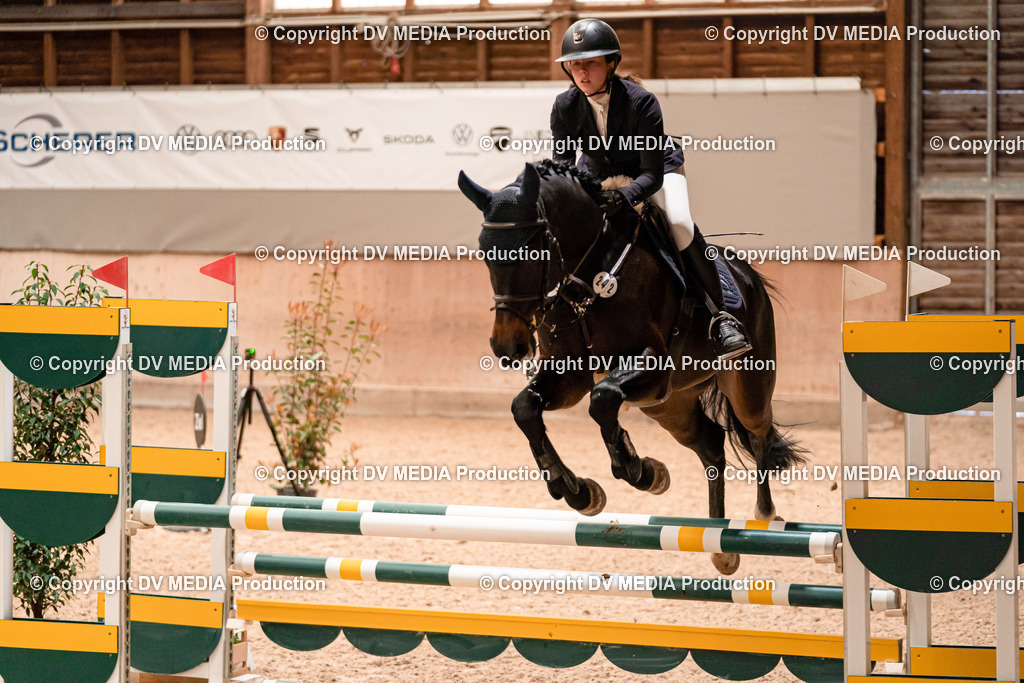 Springen Tag 1-217 | dv-media-shop - Realisiert mit Pictrs.com