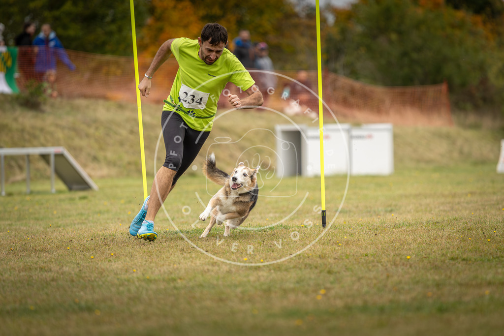 Pfotenfotografie_DV3A5177 | Hundefotografie, Tierfotograf, Pfotenfotografie, Fotoshooting Hund, Hunde Portrait, Hundesport, Hundeportraits, Heideshooting, Hunde, Sportfotograf, Hundefotograf, Turnierhundsport, THS,  - Realisiert mit Pictrs.com